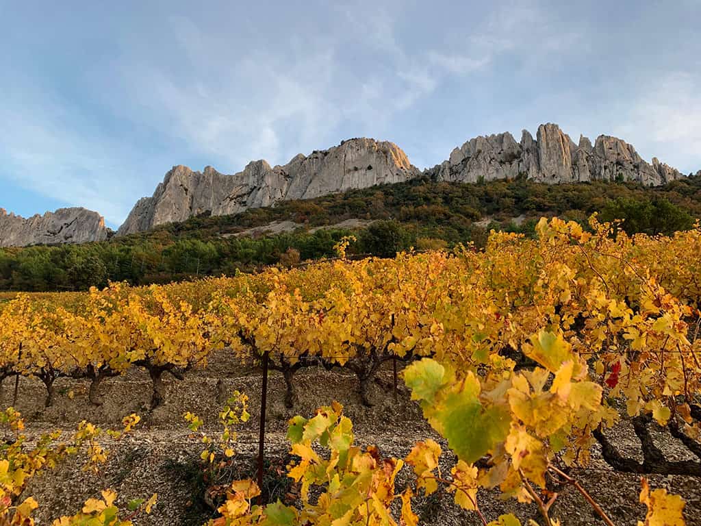 Metafort chambre d'hôtes Luberon (Vaucluse) - Dentelles de Montmirail (3)