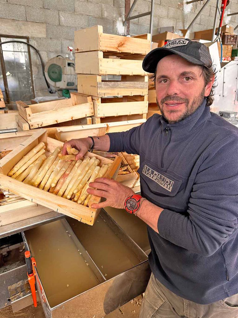 Asperges les Malauques - Metafort, chambre d'hôtes en Provence