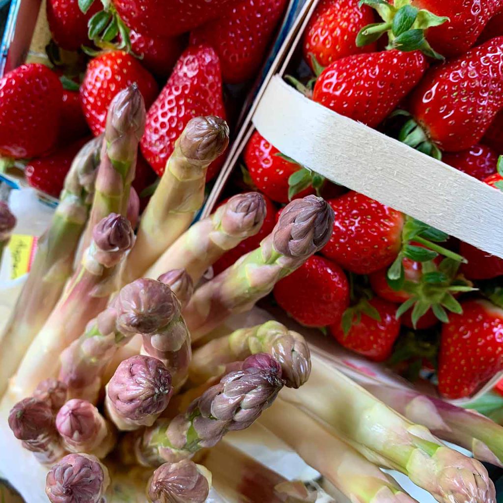 Metafort, chambre d'hôtes en Provence, soutient les fêtes de la fraise de carpentras ainsi que la fête de l'asperge de Mormoiron