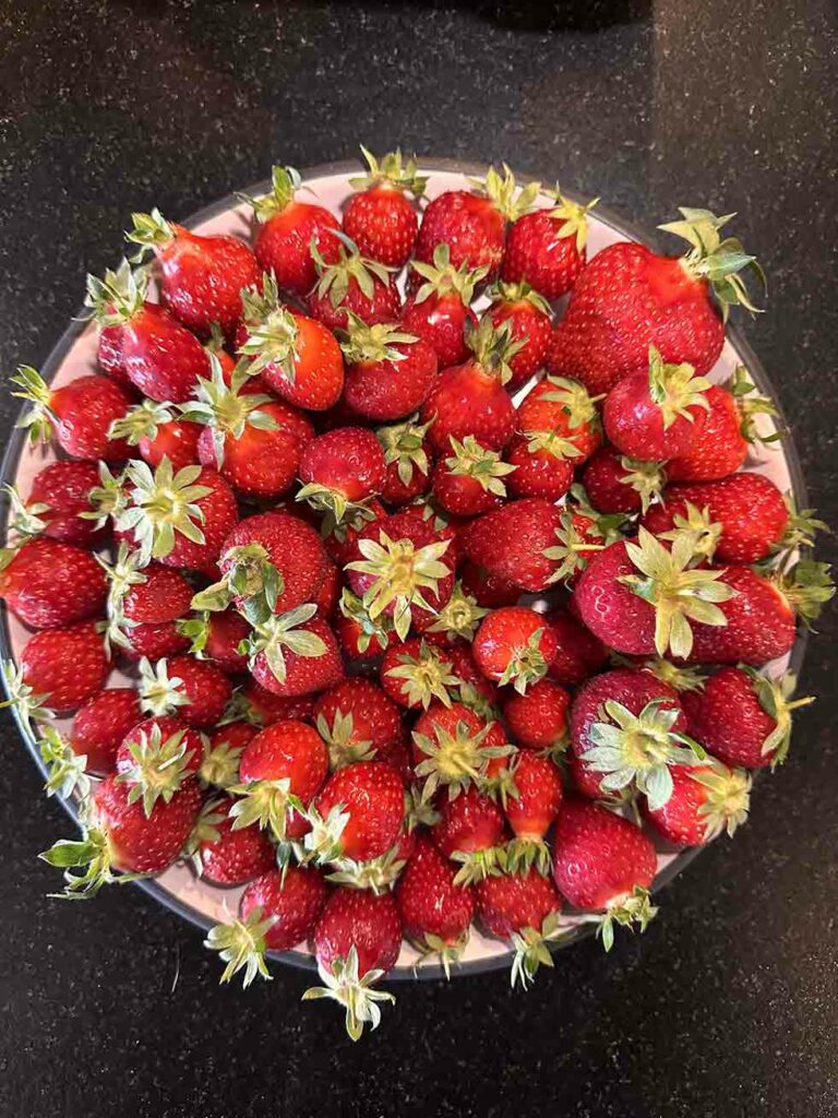 Tarte aux fraises faite maison Metafort, maison d'hôtes entre mont Ventoux et Luberon